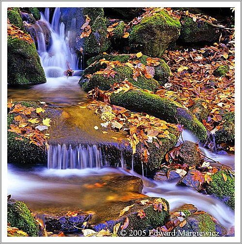 660116   Stream near Newfound Gap Road, North Carolina 